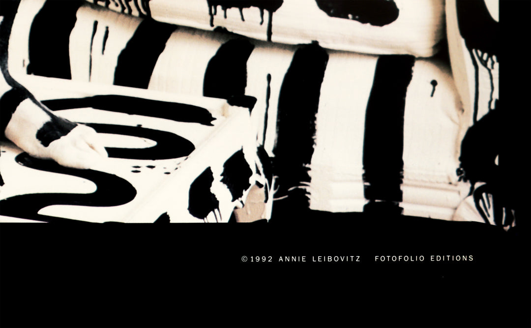 アート・デザイン・音楽 ANNE LEIBOVITZ AMERICAN MUSIC Annie Leibovitz: American Music: Annie Leibovitz, Patti